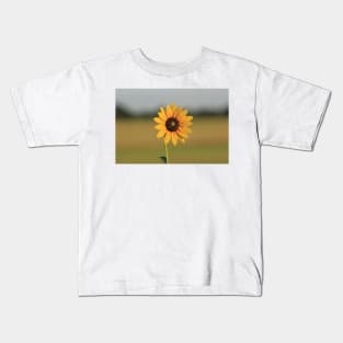 Kansas Wild Sunflower with a green background with sky. Kids T-Shirt